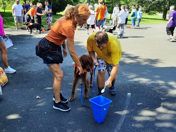 Játékos sportverseny az Esélykupa rendezvényen terápiás kutyával